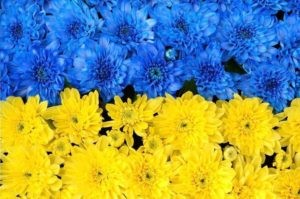 Вітаємо із Днем Незалежності України!