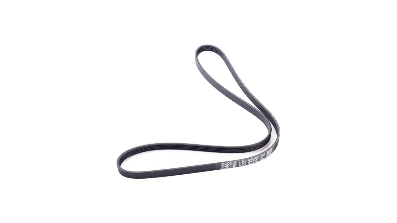 buy-a-belt-3