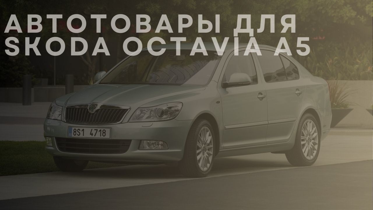skoda-octavia-a5-1-ru