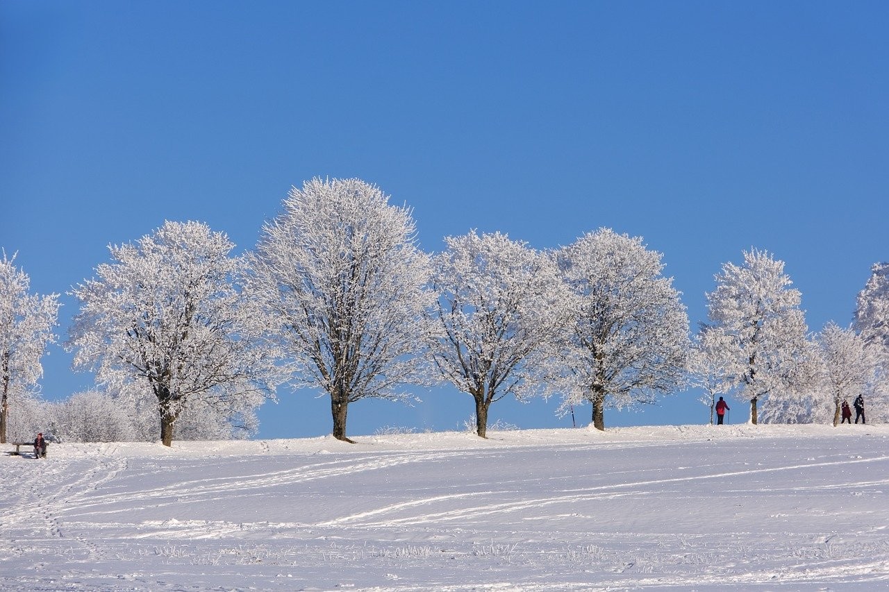 winter-8435314_1280