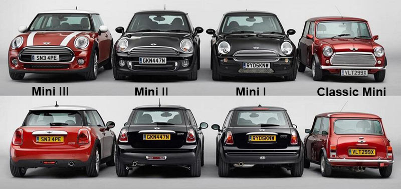 mini-evolutcia