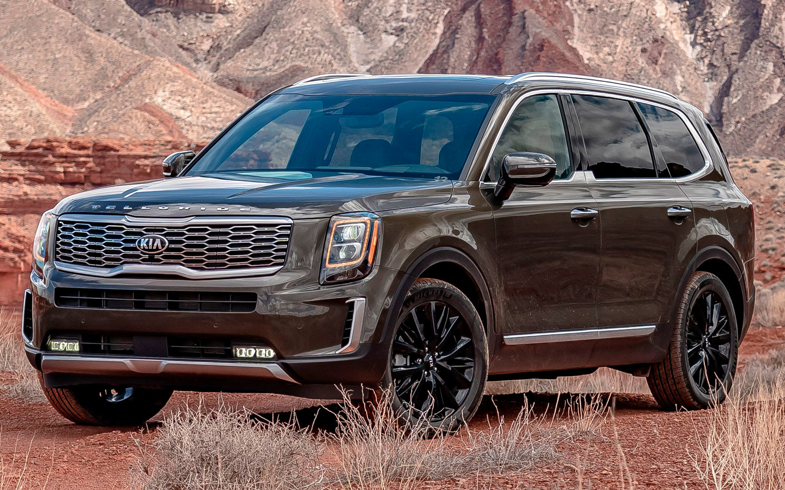 kia-telluride-1