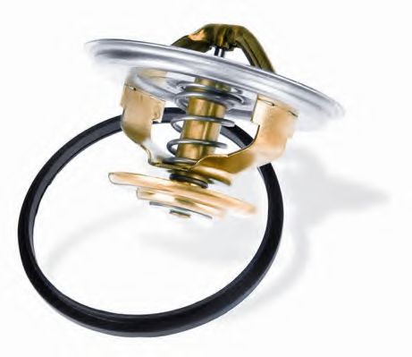 Термостат WAHLER 4520.80D - Фото 1