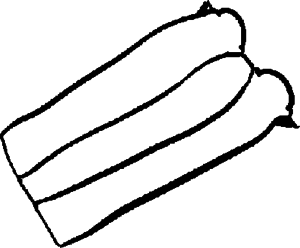 Прокладка клапанной крышки REINZ 71-33846-00