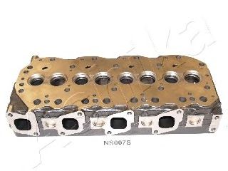 Головка блока цилиндров (ГБЦ) ASHIKA NS007S - Фото 1