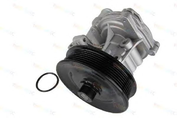 Помпа THERMOTEC D1G056TT - Фото 1