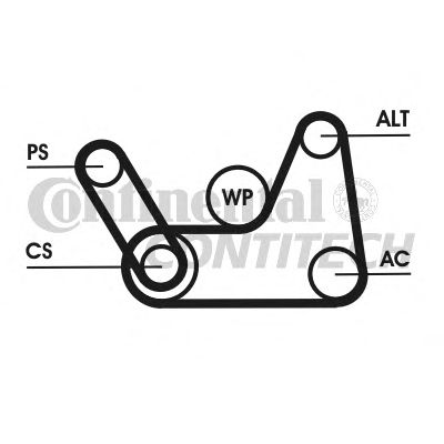 Комплект поликлинового ремня CONTITECH 6PK1019 ELAST T1