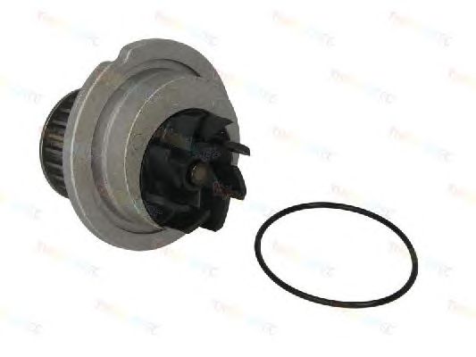 Помпа THERMOTEC D10018TT - Фото 1