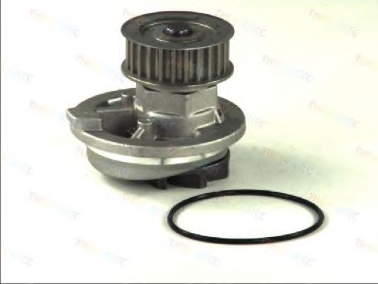 Помпа THERMOTEC D1X021TT - Фото 1