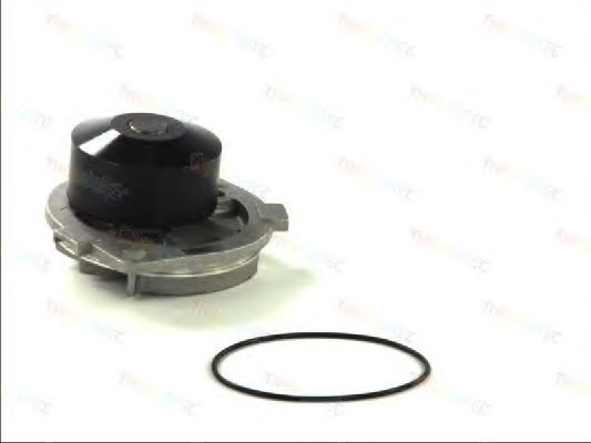 Помпа THERMOTEC D1F060TT - Фото 1