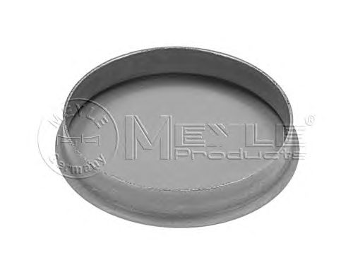 Предохранительная крышка, ступица колеса MEYLE 100 752 0006 - Фото 1