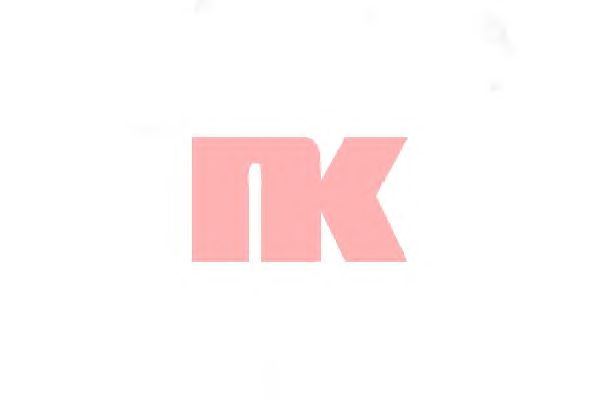 Тормозной шланг NK 852679 - Фото 1