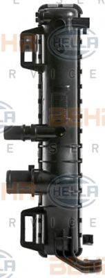 Радиатор, охлаждение двигателя HELLA 8MK 376 900-264 BEHR HELLA SERVICE Version ALTERNATIVE - Фото 2