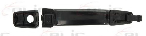 Ручка двери BLIC 6010-56-005405P - Фото 1