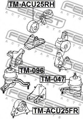 Подушка двигателя FEBEST TM-ACU25RH - Фото 1