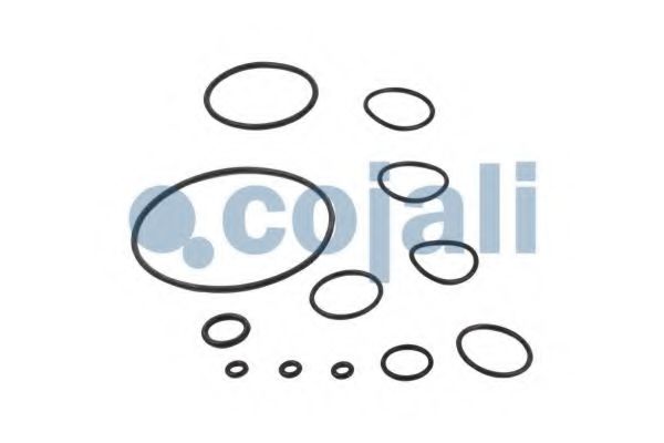 Ремкомплект регулятора гальмівних сил COJALI 6012030 - Фото 2