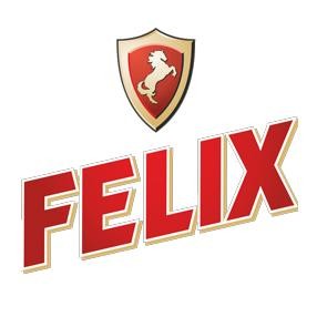 Тосол FELIX-45 20кг
