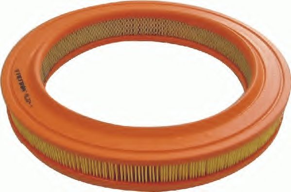 Воздушный фильтр FILTRON AR 204/1