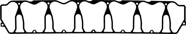 Прокладка клапанной крышки REINZ 71-37036-00