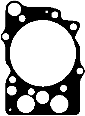 Прокладка головки блока цилиндров (ГБЦ) REINZ 61-31085-10