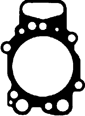 Прокладка головки блока цилиндров (ГБЦ) REINZ 61-34880-00
