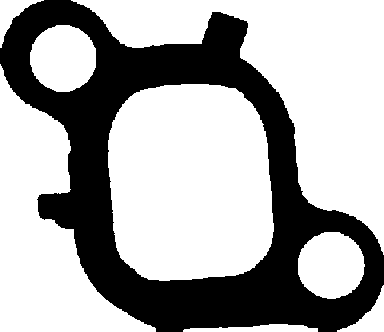 Прокладка впускного коллектора REINZ 71-36079-00