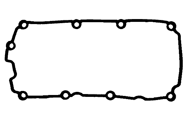 Прокладка клапанной крышки REINZ 71-36051-00