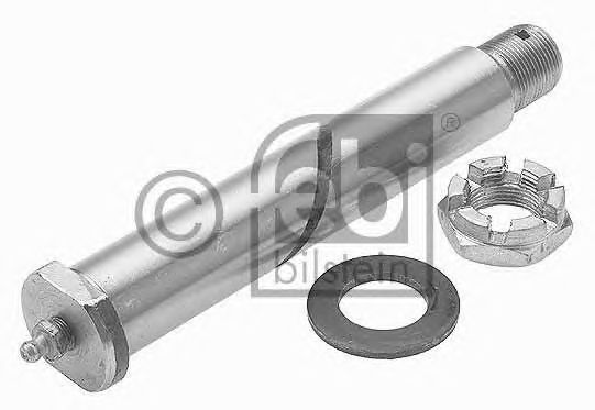 Палець вушка ресори FEBI BILSTEIN 02873