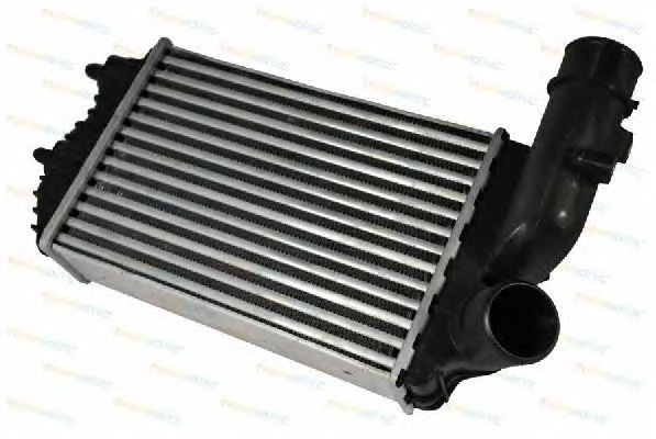 Интеркулер THERMOTEC DAF001TT