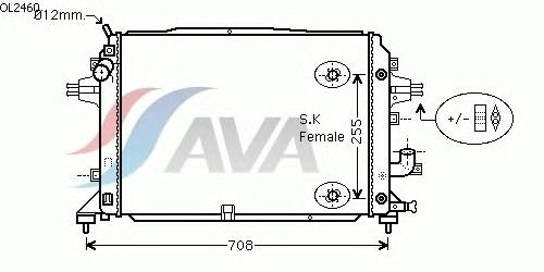 Радиатор, охлаждение двигателя AVA QUALITY COOLING OL2460
