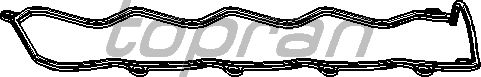 Прокладка клапанної кришки TOPRAN 722 536