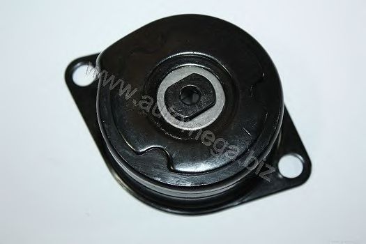 Натяжной ролик поликлинового ремня AUTOMEGA 309030315028R