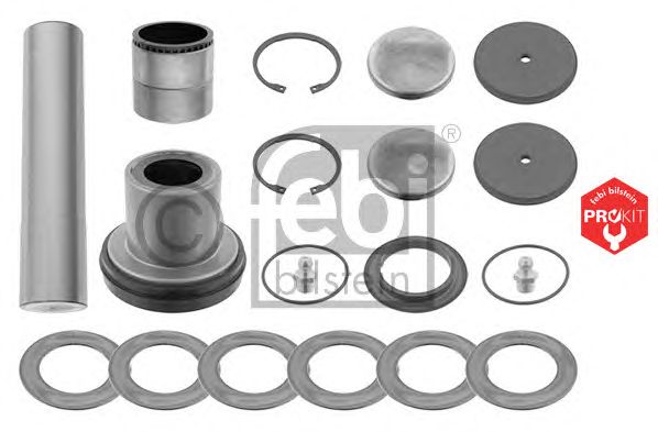 Ремкомплект шкворня FEBI BILSTEIN 19000 PROKIT