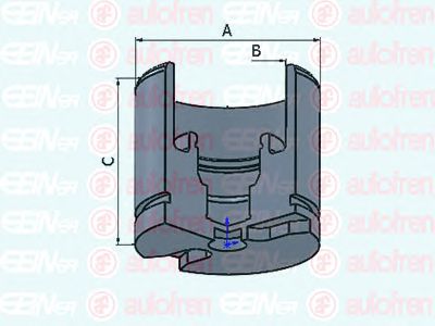 Поршень тормозного суппорта AUTOFREN SEINSA D025256