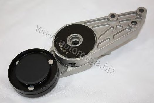 Натяжитель ремня AUTOMEGA 309030133058D