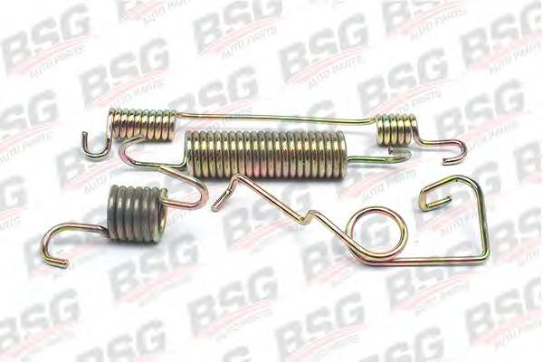 Пружина тормозной колодки BSG BSG 30-260-004