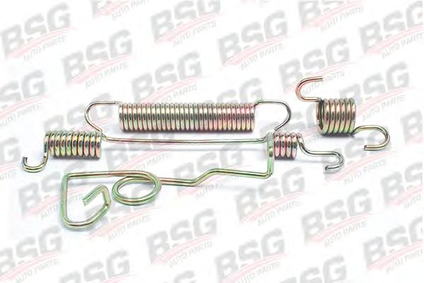 Пружина тормозной колодки BSG BSG 30-260-005