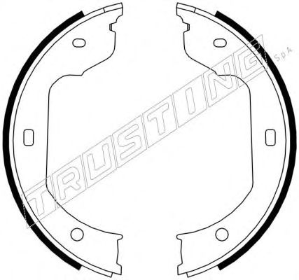 Тормозные колодки ручника TRUSTING 019.029