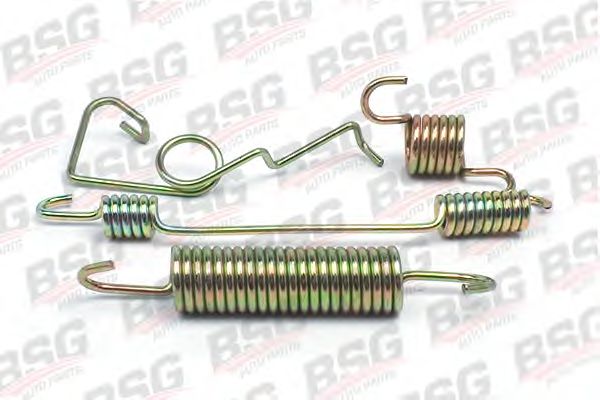 Пружина тормозной колодки BSG BSG 30-260-003