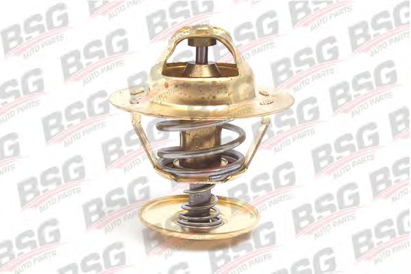 Термостат BSG BSG 30-125-004