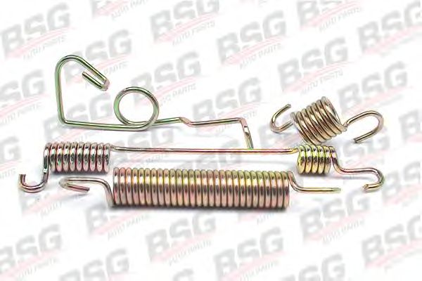 Пружина тормозной колодки BSG BSG 30-260-006