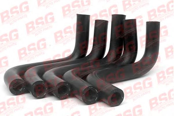 Масляный шланг BSG BSG 30-720-022