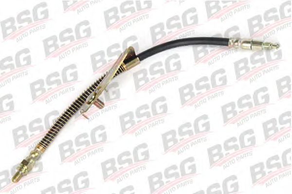 Тормозной шланг BSG BSG 30-730-029