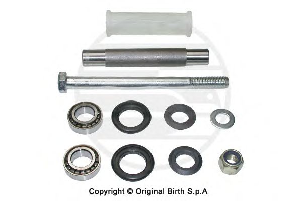 Ремкомплект рычага BIRTH 50160
