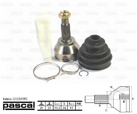 Комплект ШРУСов PASCAL G1G019PC