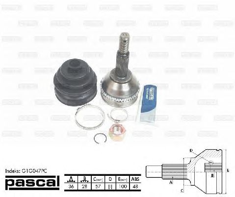 ШРУС PASCAL G1G047PC