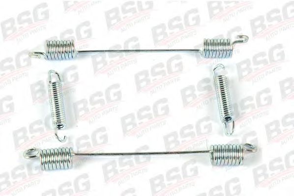 Пружина тормозной колодки BSG BSG 30-260-002
