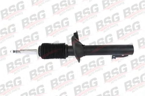 Амортизатор BSG BSG 30-300-008