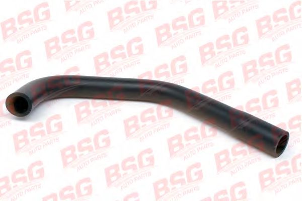 Масляный шланг BSG BSG 30-720-021