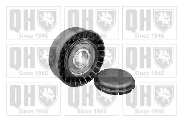 Ролик QUINTON HAZELL QTA848 (поликлиновой, паразитный)